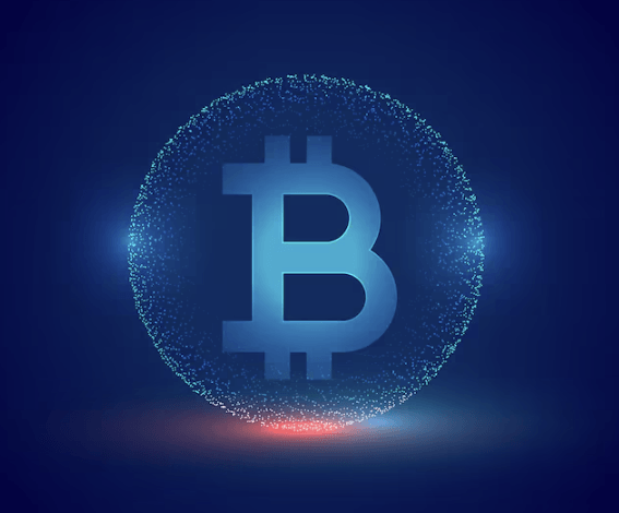 The Importance of Blockchain Nodes