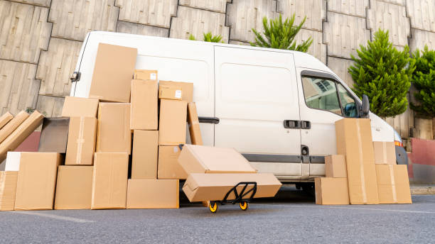 Why Professional Moving Services in Geelong Make Relocation Easier